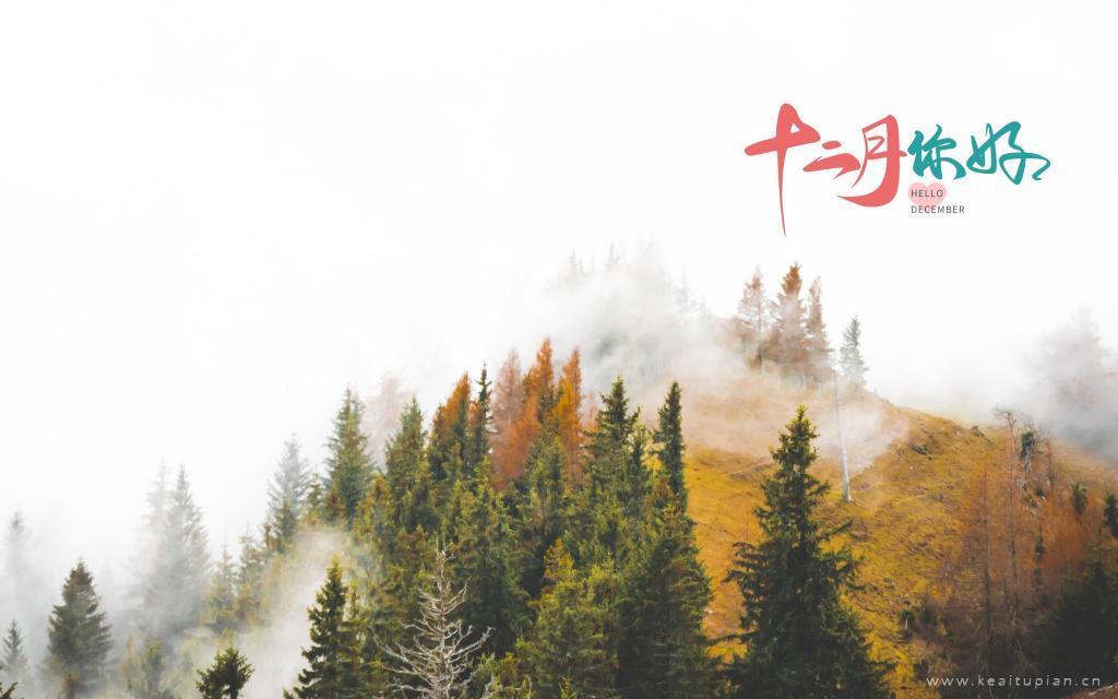 冬天的山林风景电脑桌面图片十二月你好
