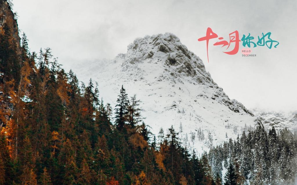 冬天的山林风景电脑桌面图片十二月你好