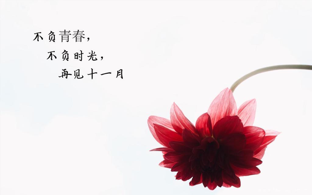 十一月再见唯美风景带字图片大全