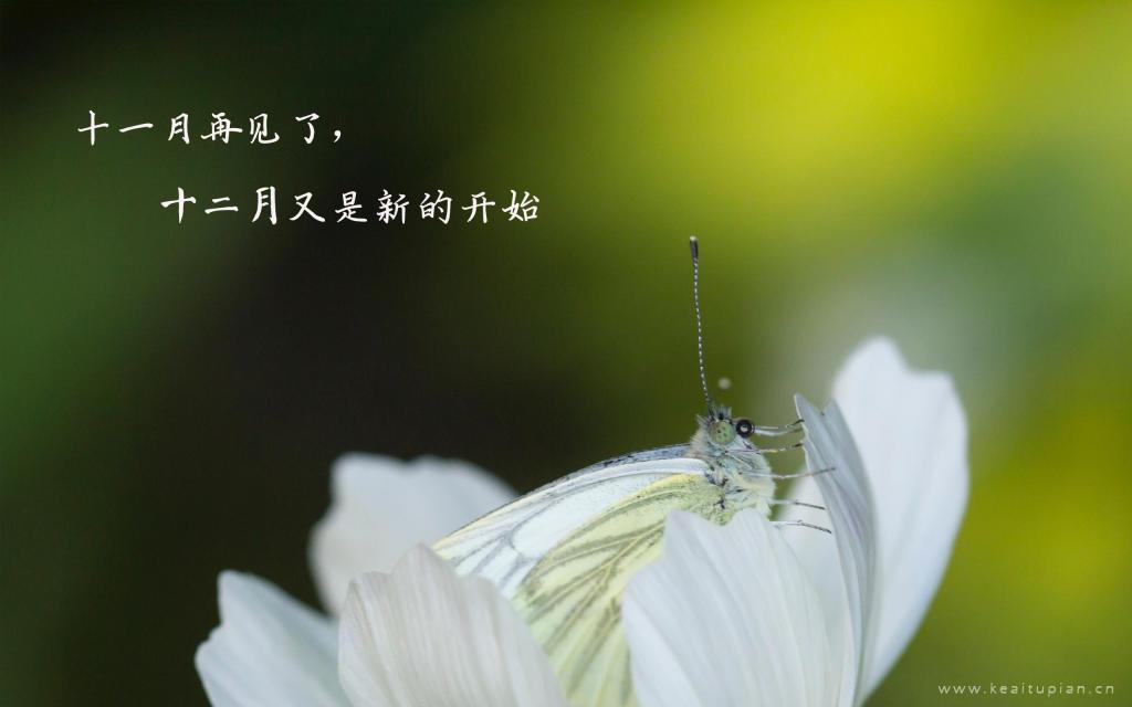 十一月再见唯美风景带字图片大全