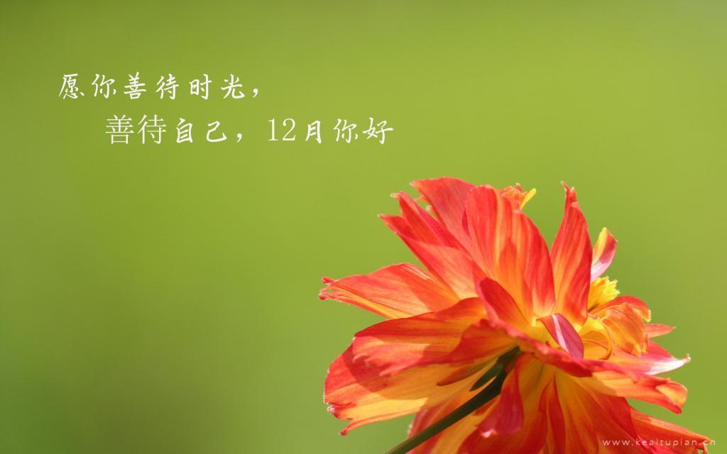 十一月再见唯美风景带字图片大全