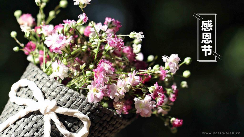 感恩节唯美鲜花高清壁纸图片