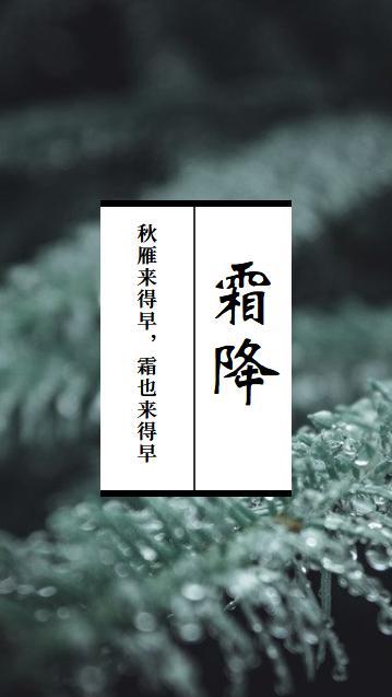 2021年霜降时节手机海报壁纸图片