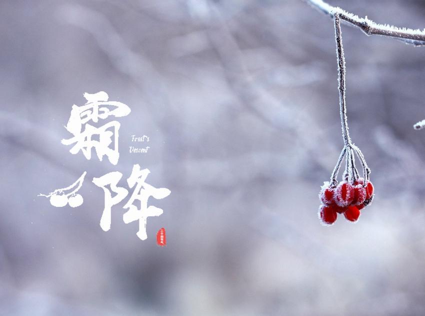 2021年发朋友圈的霜降节气海报壁纸图片