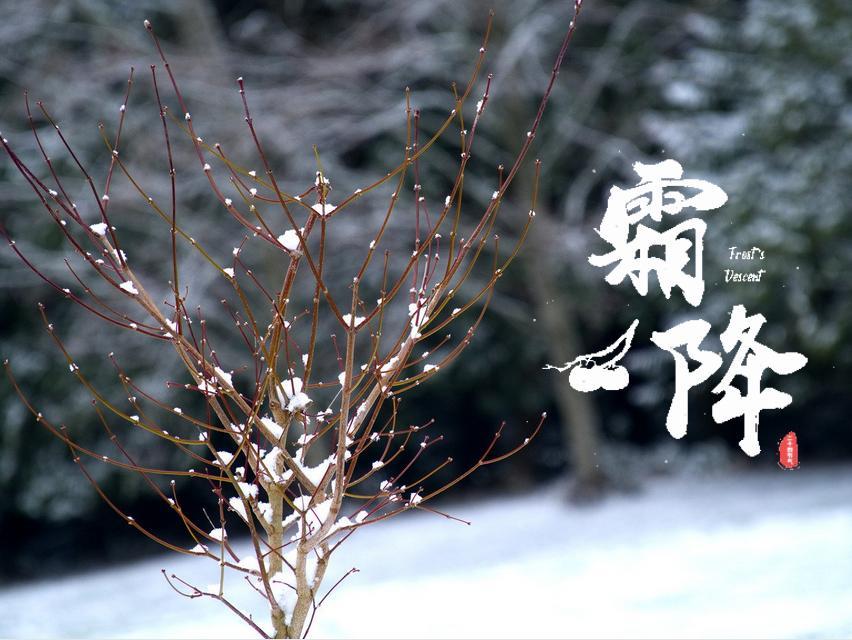 2021年发朋友圈的霜降节气海报壁纸图片