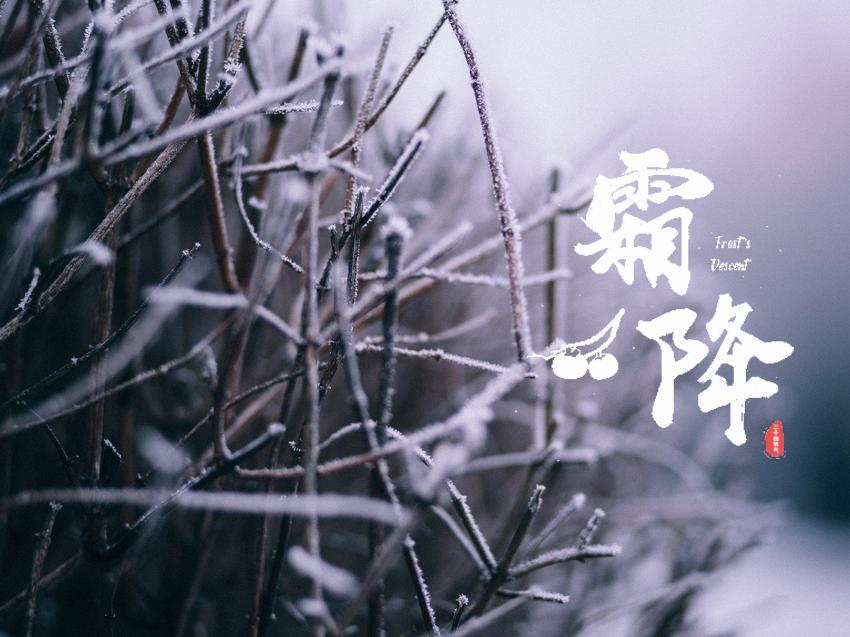 2021年发朋友圈的霜降节气海报壁纸图片