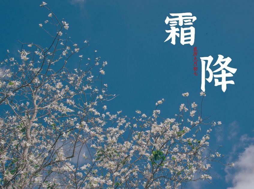 2021年24节气霜降最新海报壁纸图片