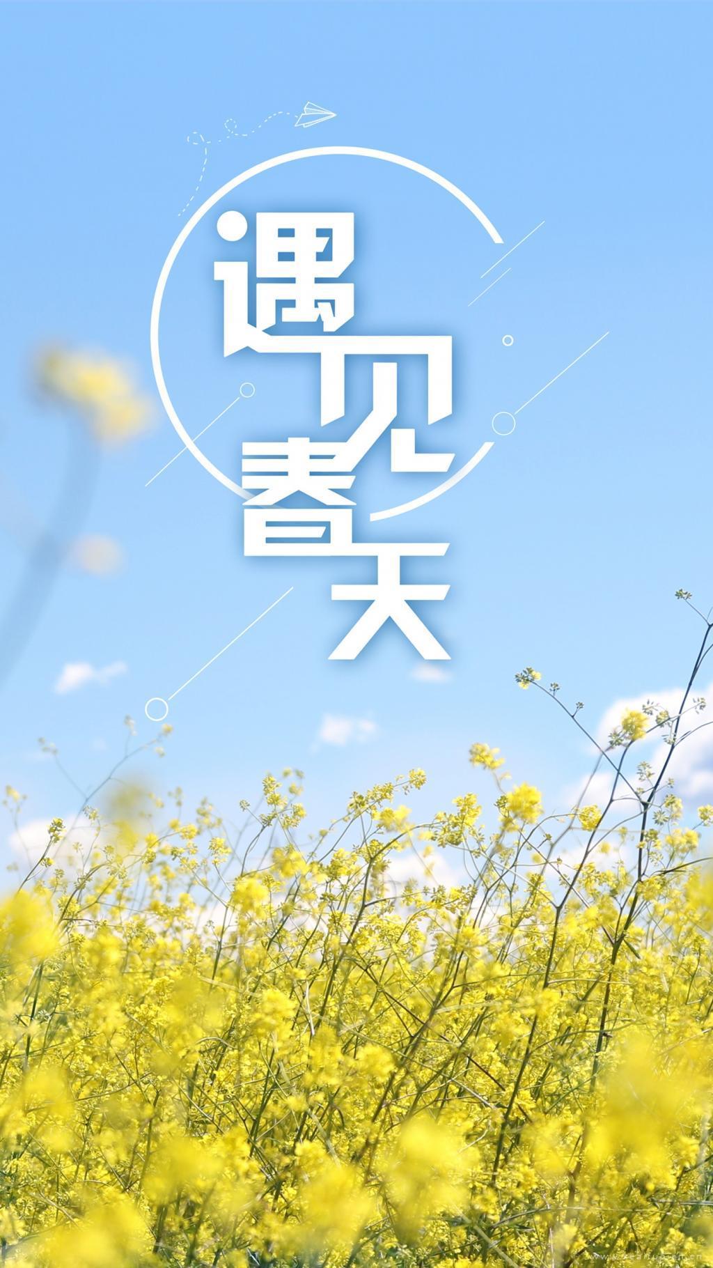 在黄色花丛里遇见春天·小清新文艺春日图片