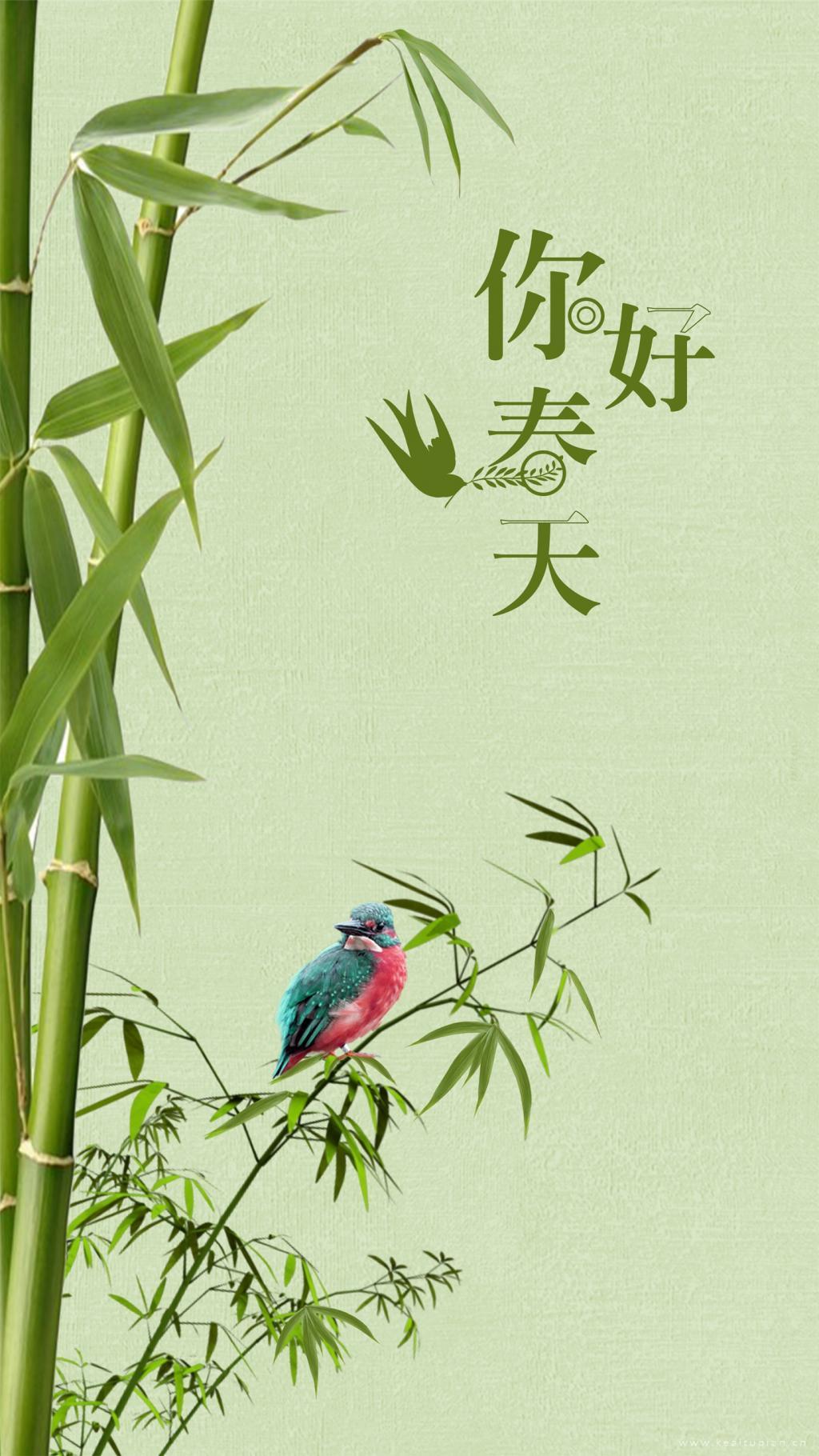 春天你好精选绿竹枝叶上小憩的鸟儿插画图片
