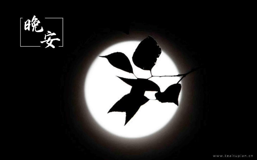 晚安唯美月亮电脑桌面壁纸图片大全