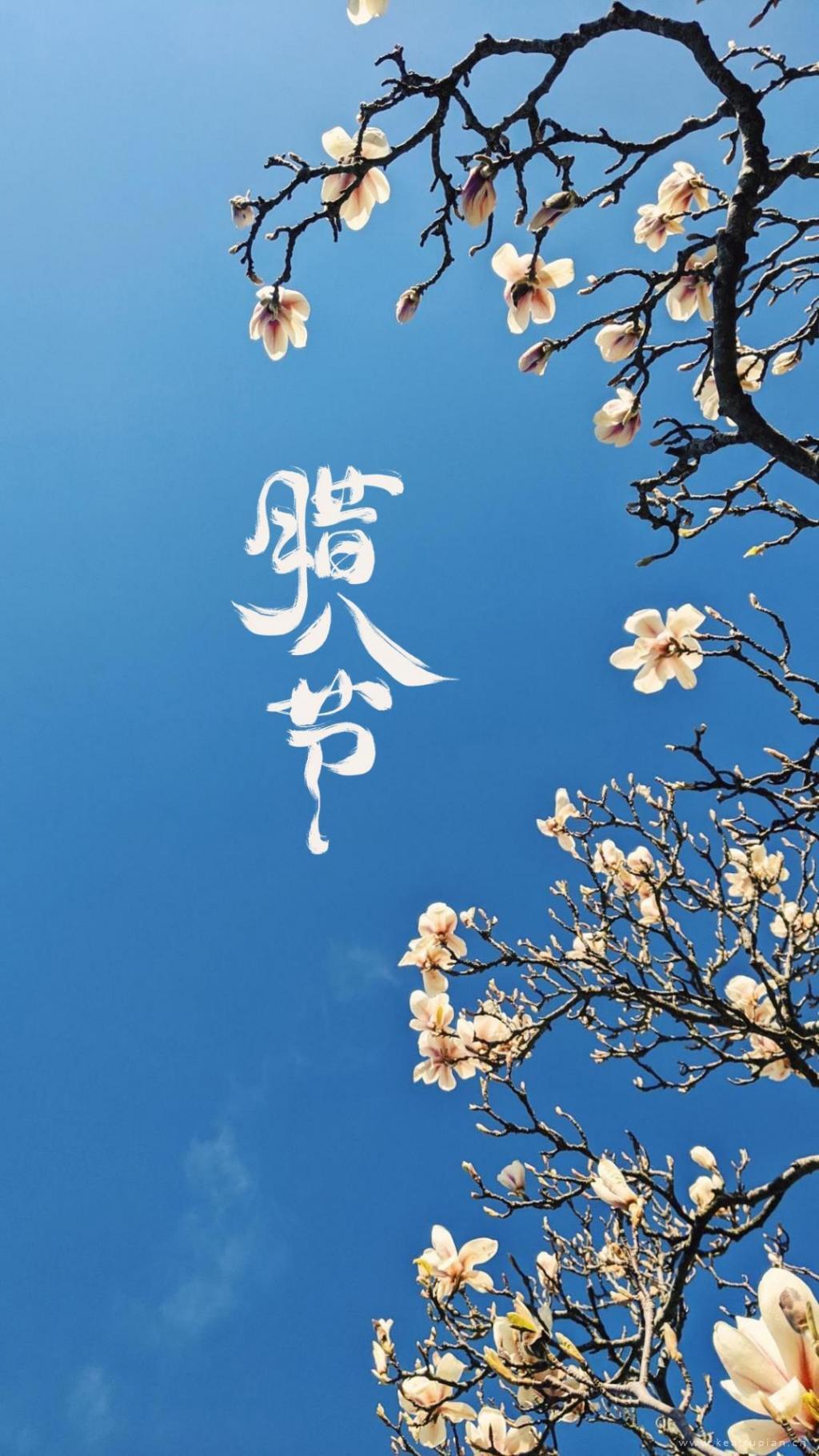 腊八节精选蓝天下盛开的梅花清新迷人图片