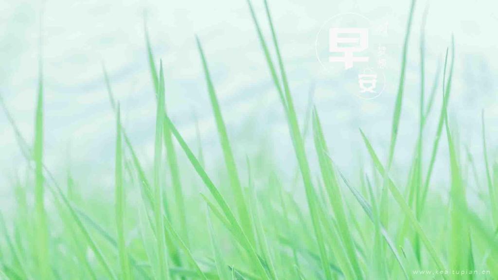 关于梦想的早安清新绿色植物风景图片
