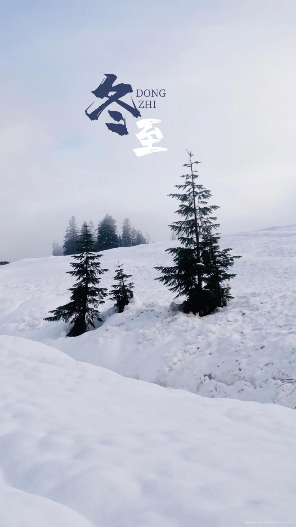 简约唯美二十四节气雪景之冬至图片