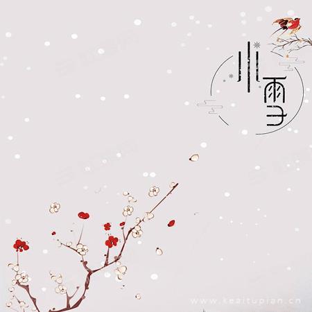 二十四节气小雪精选简单小清新插画图片