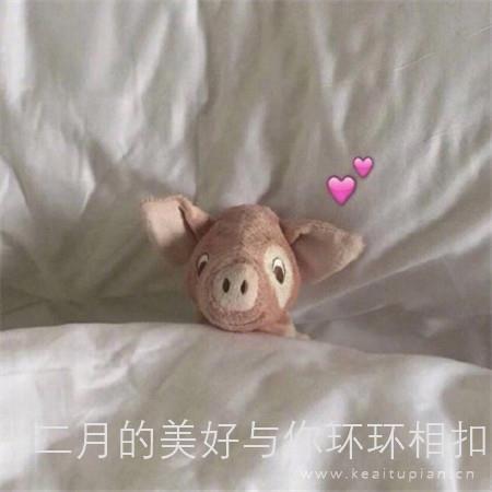 十二月的美好与你环环相扣·小清新可爱玩偶晚安图片