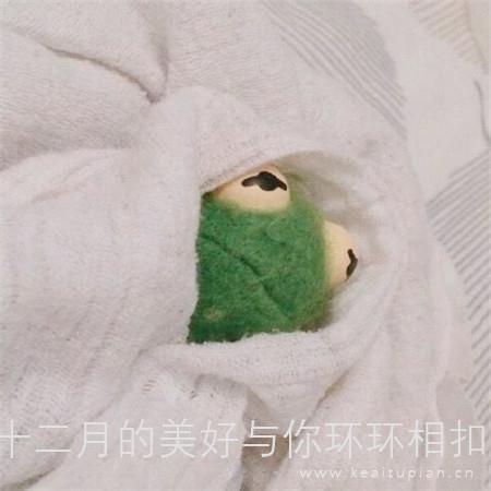 十二月的美好与你环环相扣·小清新可爱玩偶晚安图片