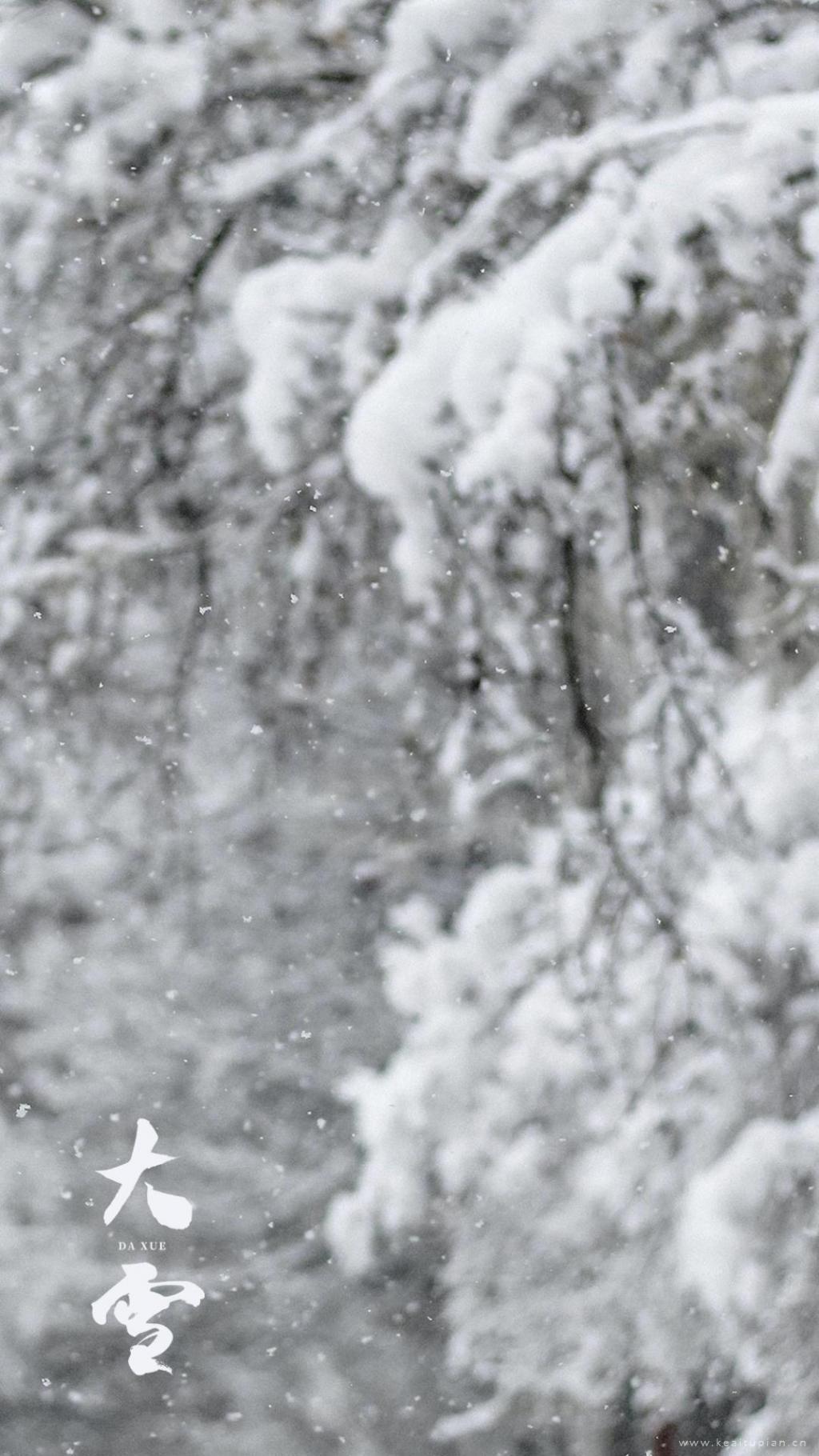 最后一个月里，雪花会来见你·唯美大雪风景图