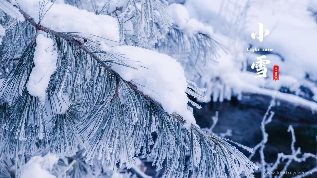 2021年小雪时节精选冬日白茫茫的雪景唯美图片