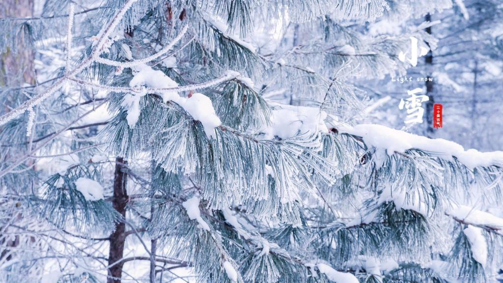 2021年小雪时节精选冬日白茫茫的雪景唯美图片