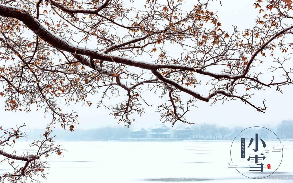 二十四节气小雪精选江南雪景唯美图片