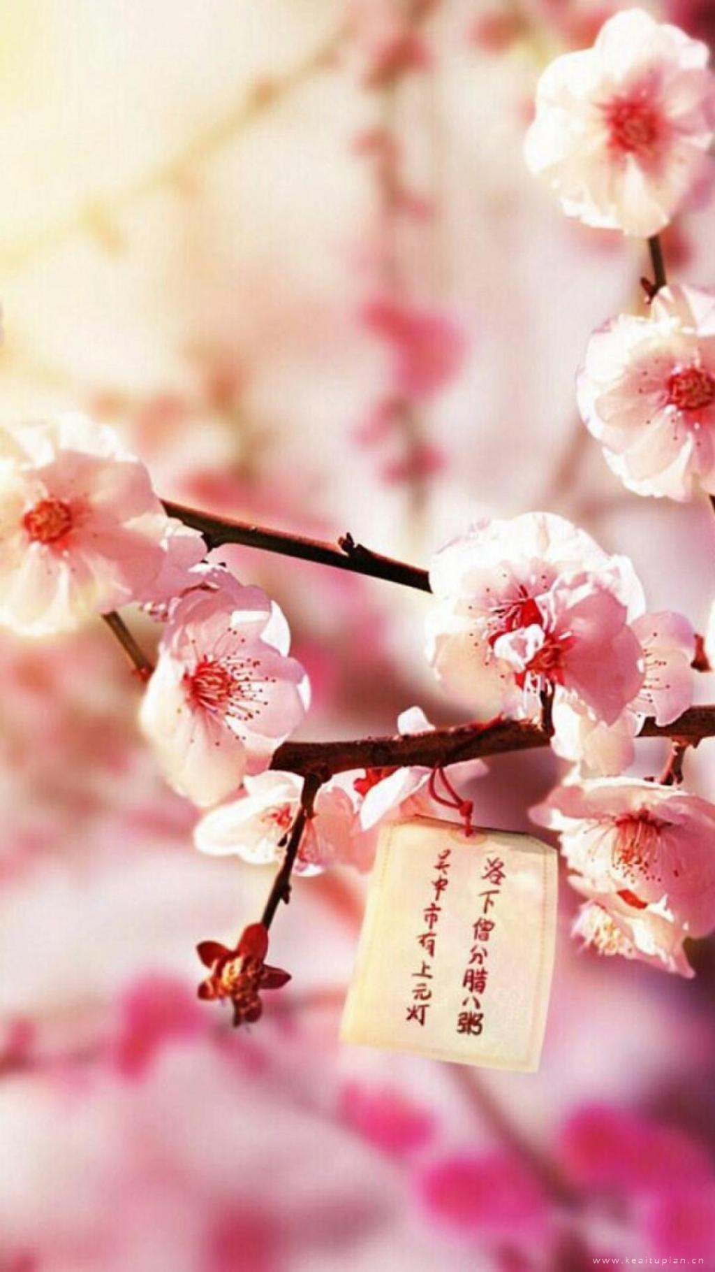 腊八桃花始盛开的美丽好看文字图片
