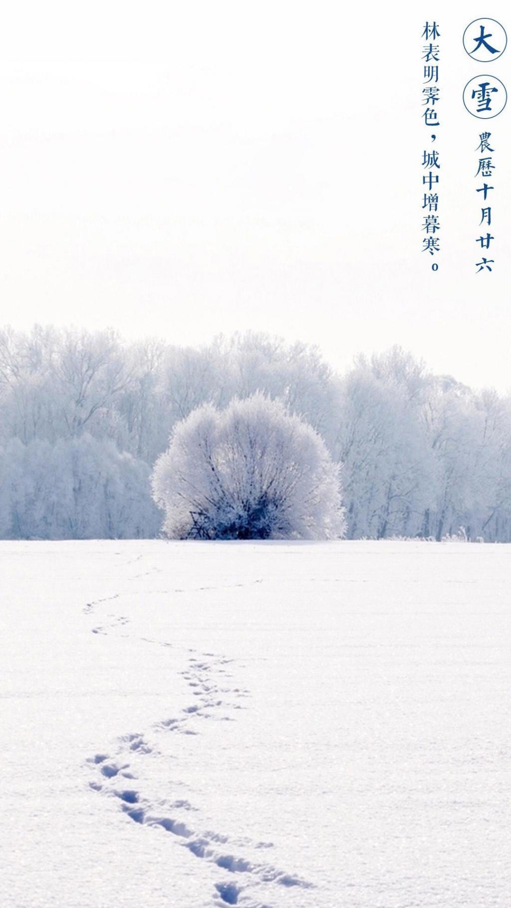 冬日白茫茫的风景大雪节气精选图片