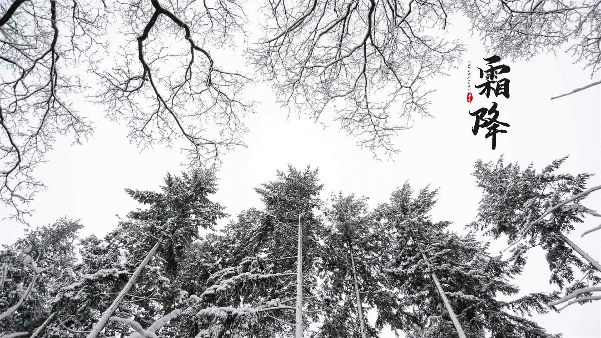 2021最新霜降高清唯美风景壁纸图片