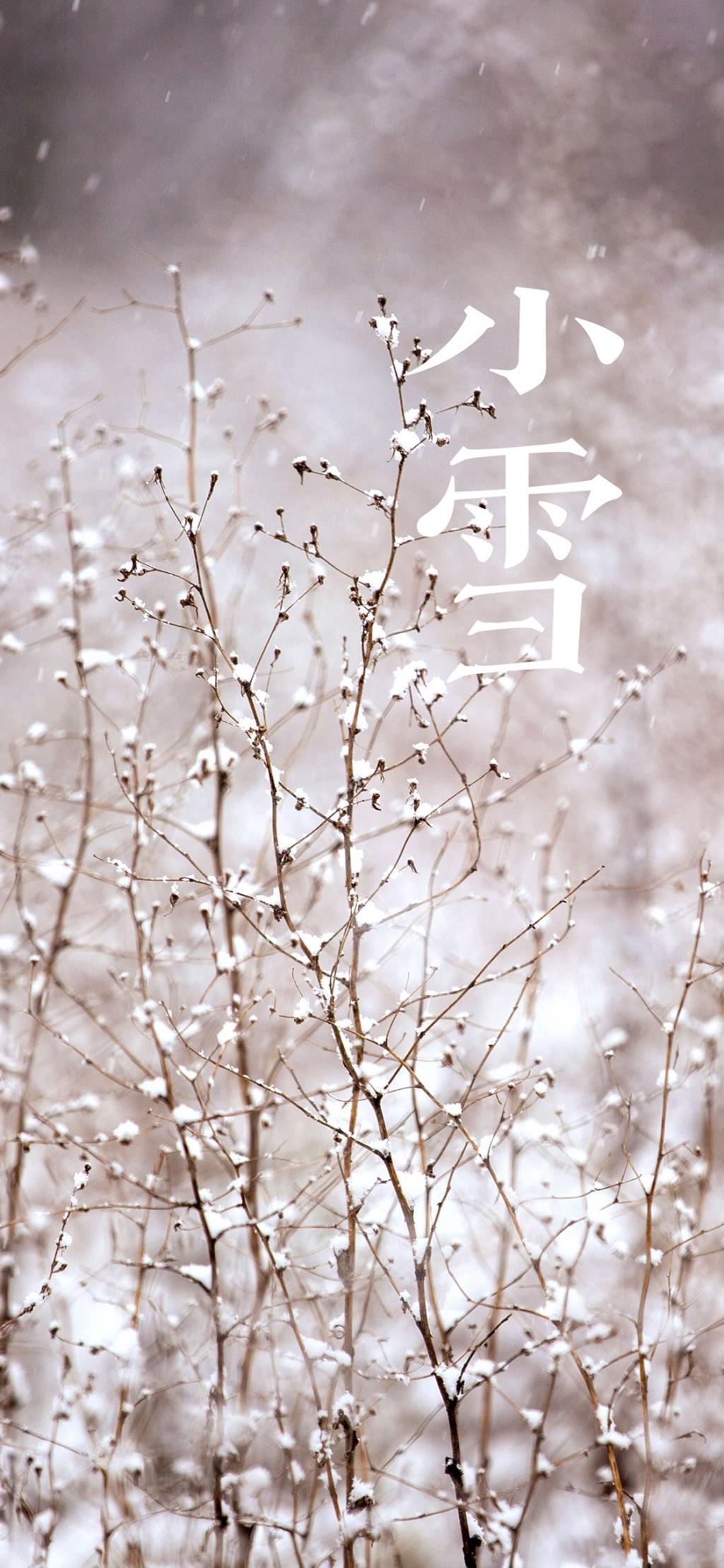 小雪天气唯美植物手机图片壁纸
