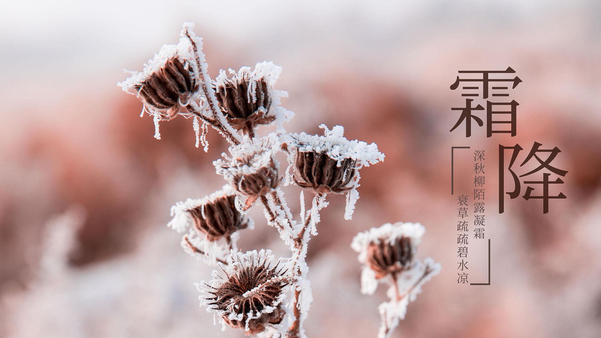 24节气霜降高清唯美冬季风景桌面壁纸图片