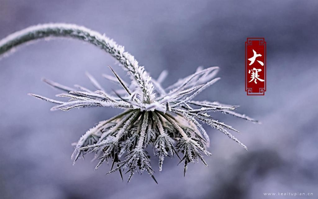 2022最美的二十四节气大寒风景图片