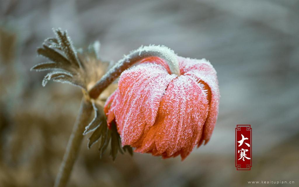 2022最美的二十四节气大寒风景图片