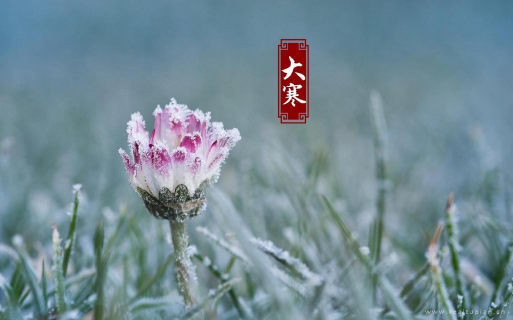 2022最美的二十四节气大寒风景图片