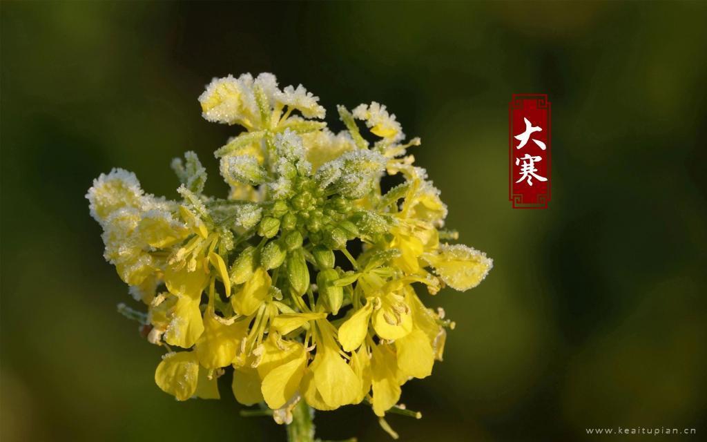 2022最美的二十四节气大寒风景图片