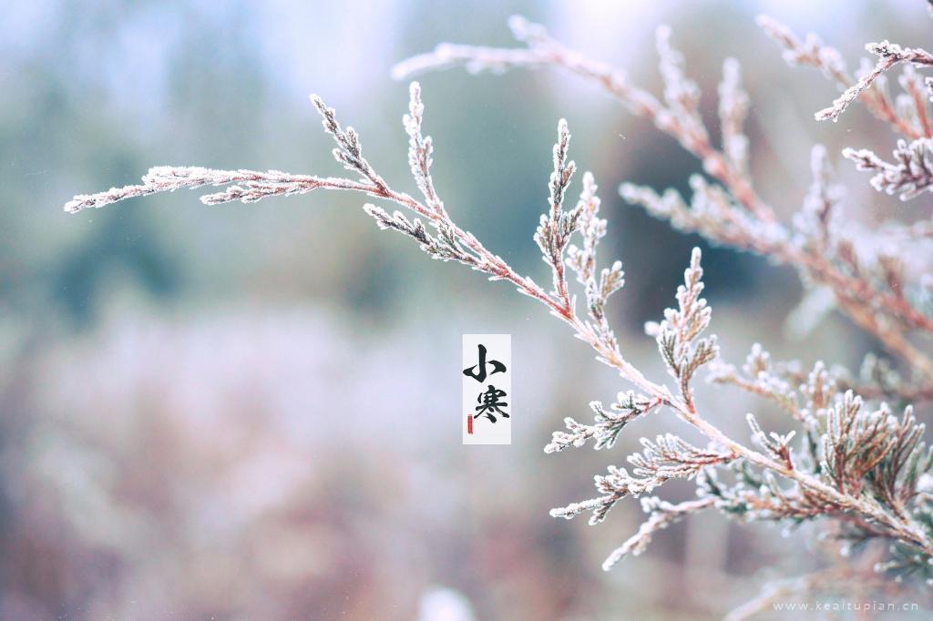 精选2021邂逅节气冰雪小寒高清壁纸图片