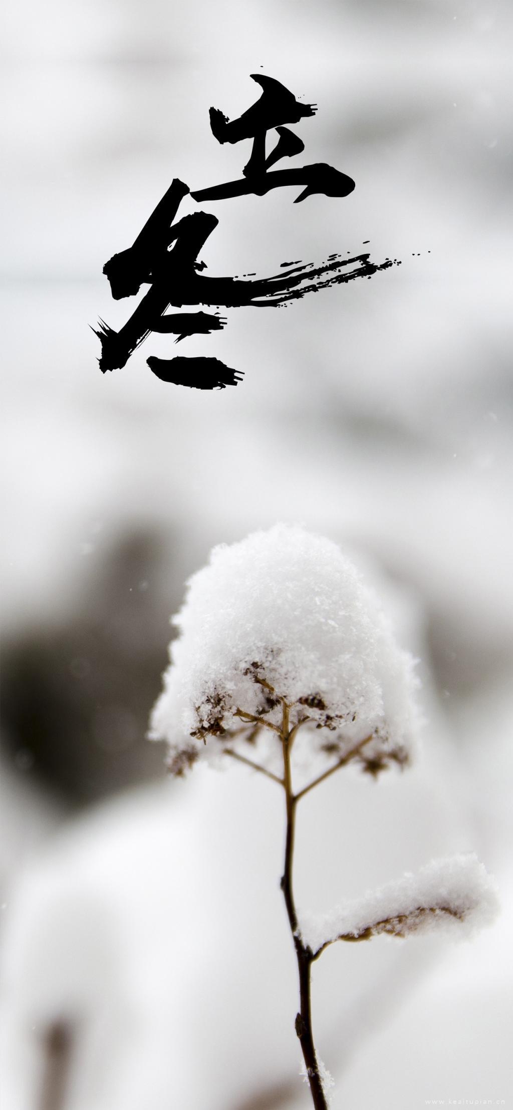 2021立冬时节冰雪高清壁纸图片