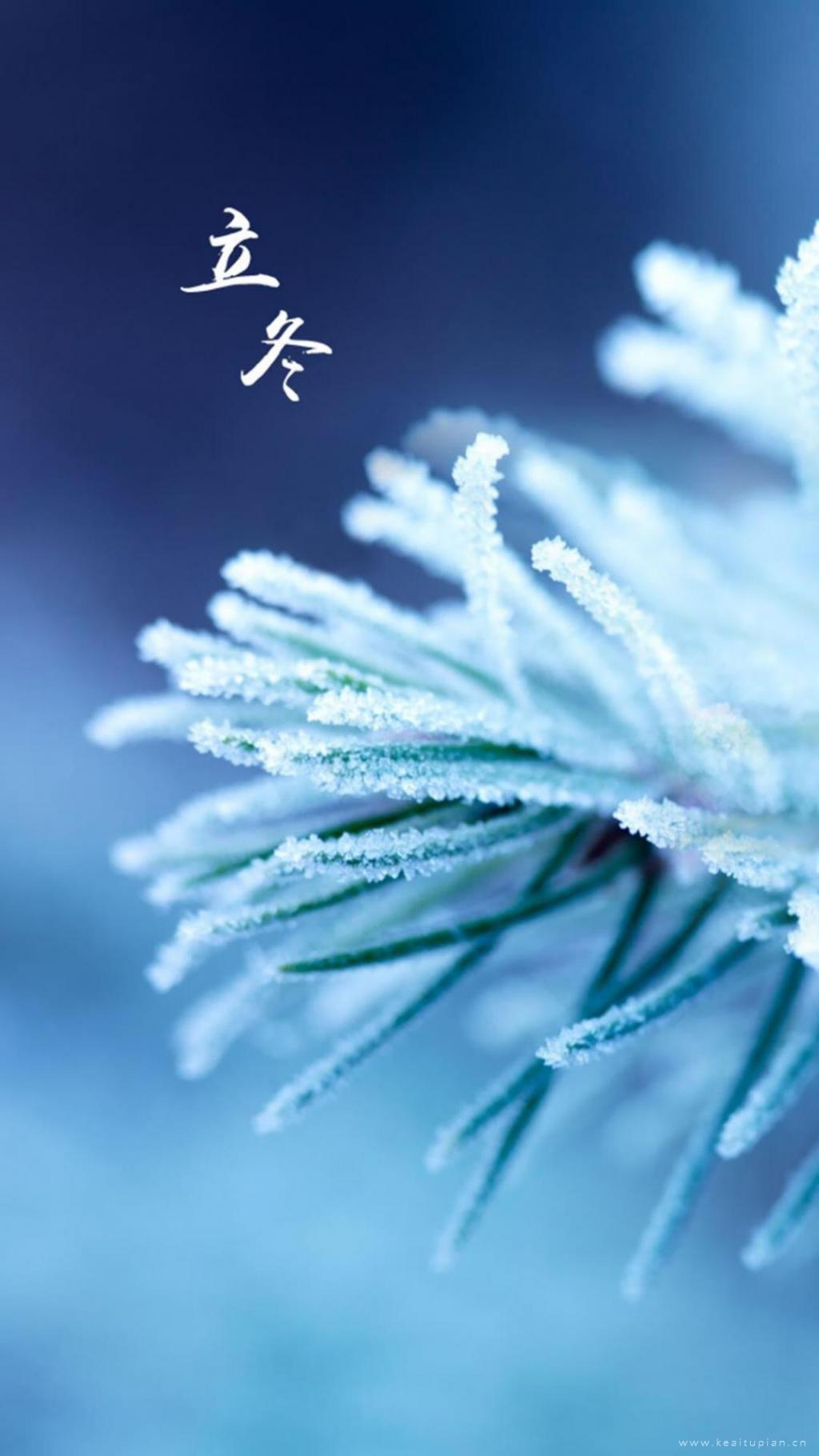 立冬高清植物风景唯美手机壁纸图片