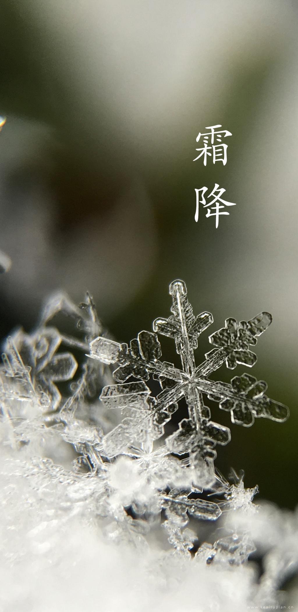雪花形状的霜花唯美高清霜降图片