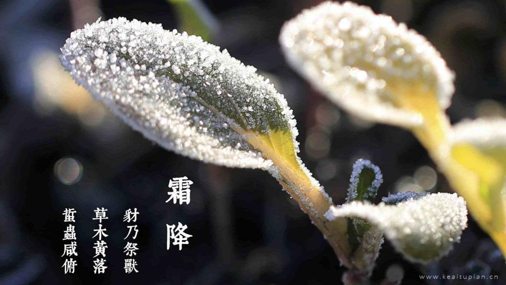 霜降好看唯美节气桌面壁纸图片大全