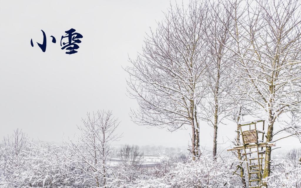 小雪节气白雪皑皑风景唯美桌面壁纸图片