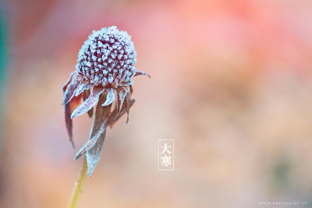 最新24节气大寒小清新唯美风景图片