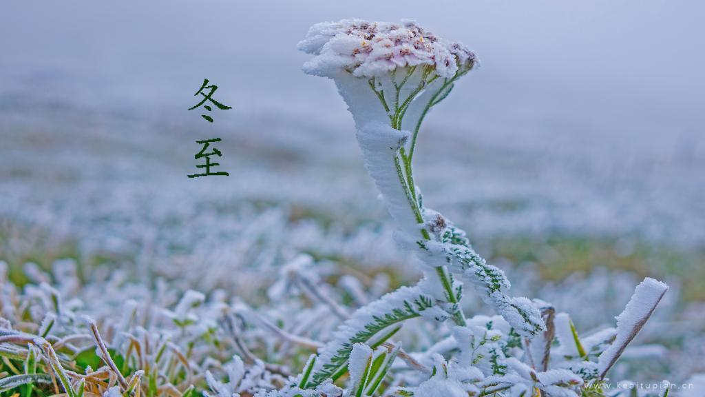 精选冬至到来,大雪纷飞图片