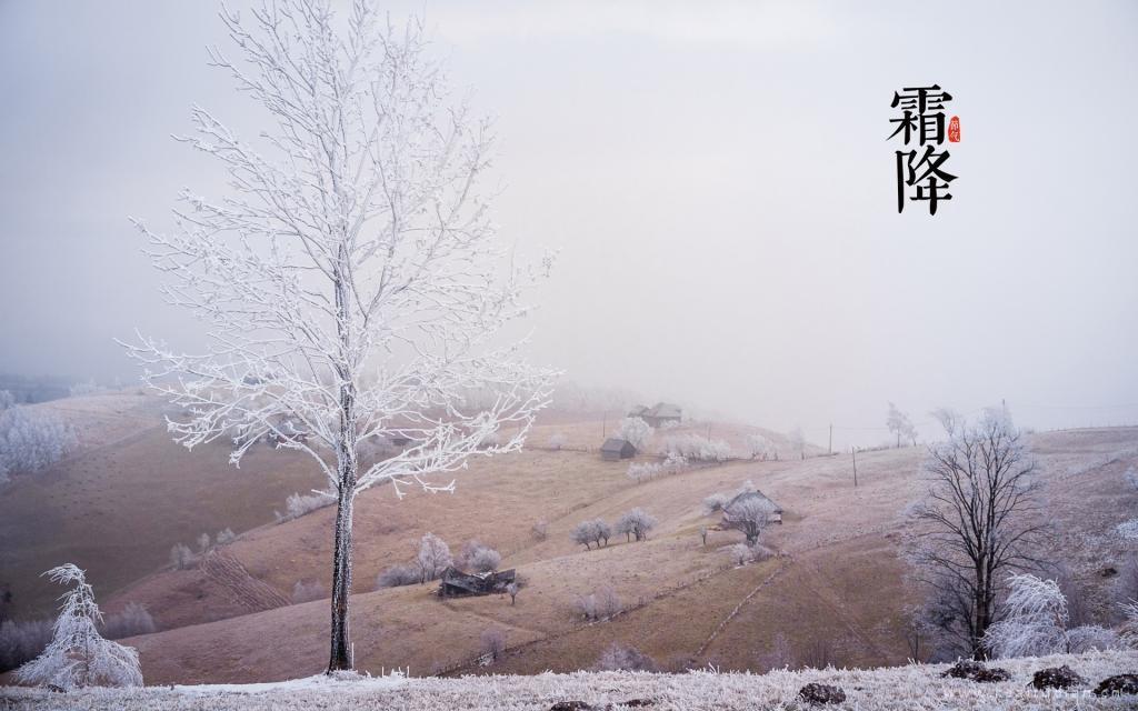 唯美中国传统节气之霜降图片
