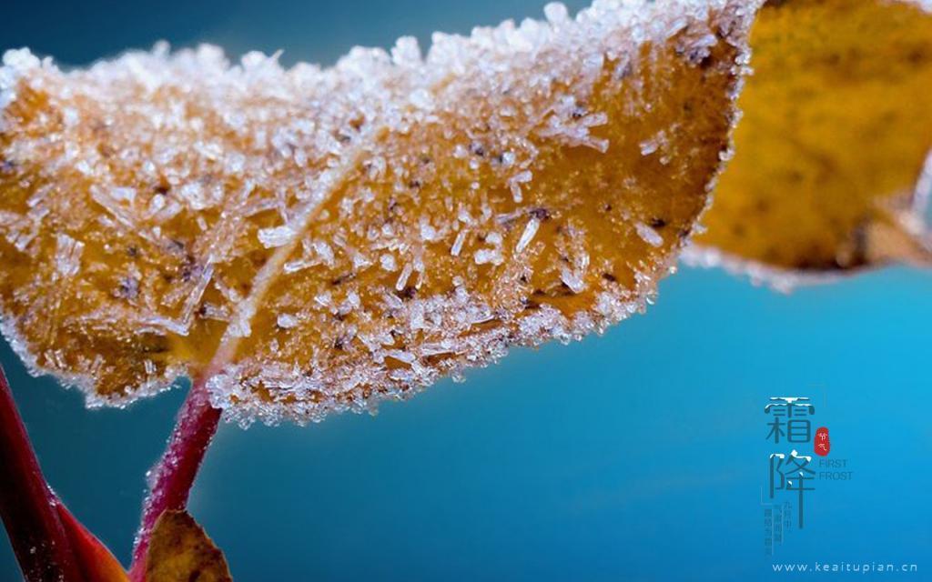 唯美中国传统节气之霜降图片