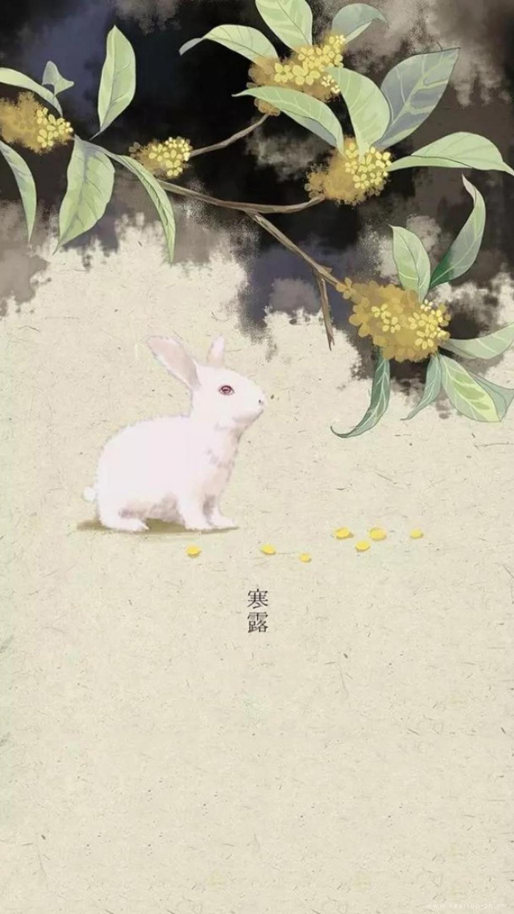 二十四节气寒露之桂花树下的小白兔手绘插画高清精选图片