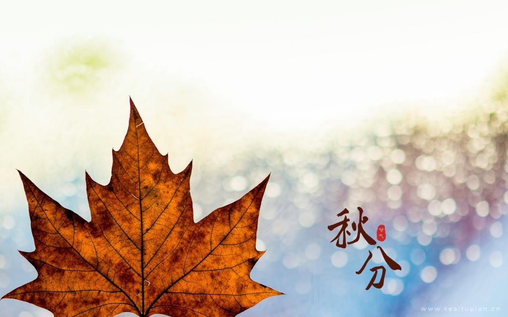 落叶唯美秋分节气风景壁纸图片大全