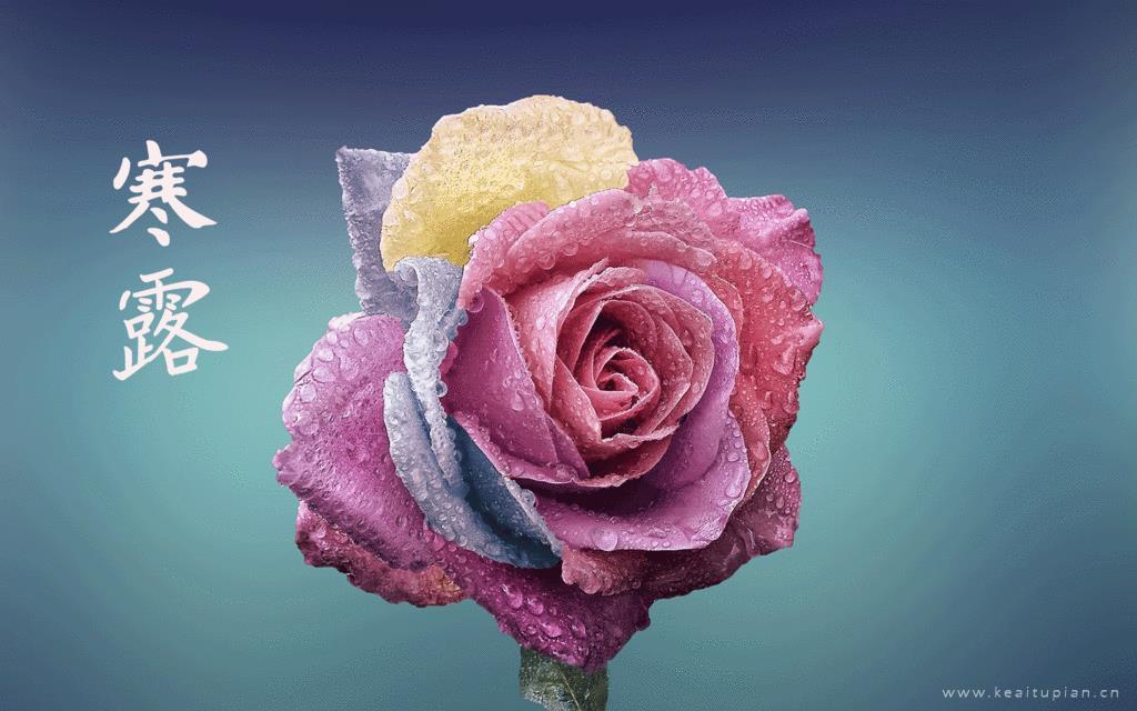 二十四节气幸福露—寒露图片唯美