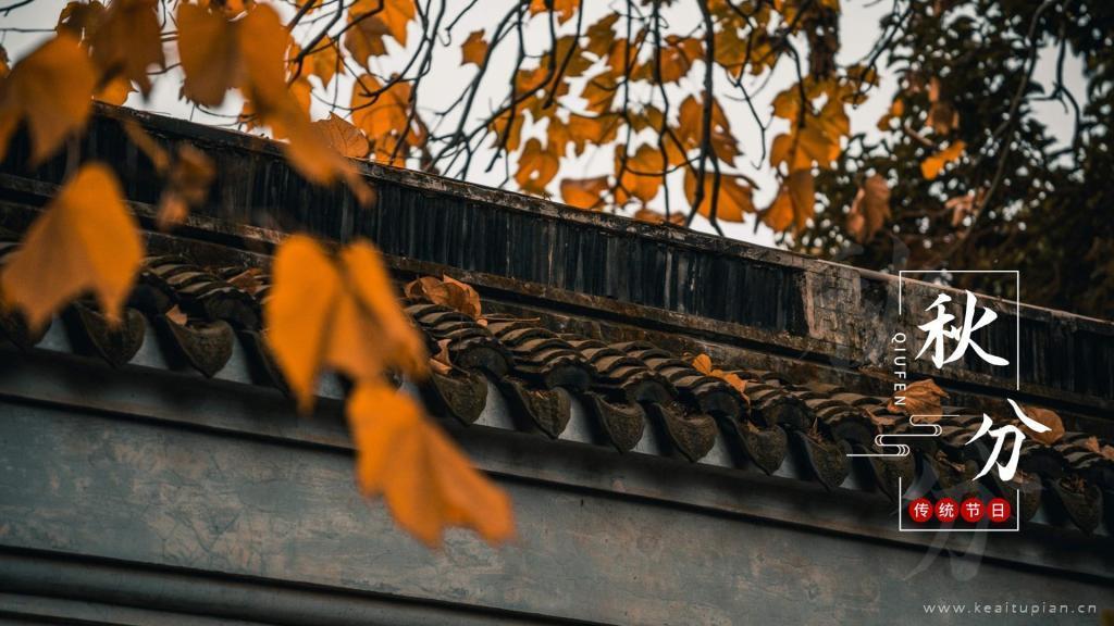 2021二十四节气秋分拙政园园林风景唯美摄影图片