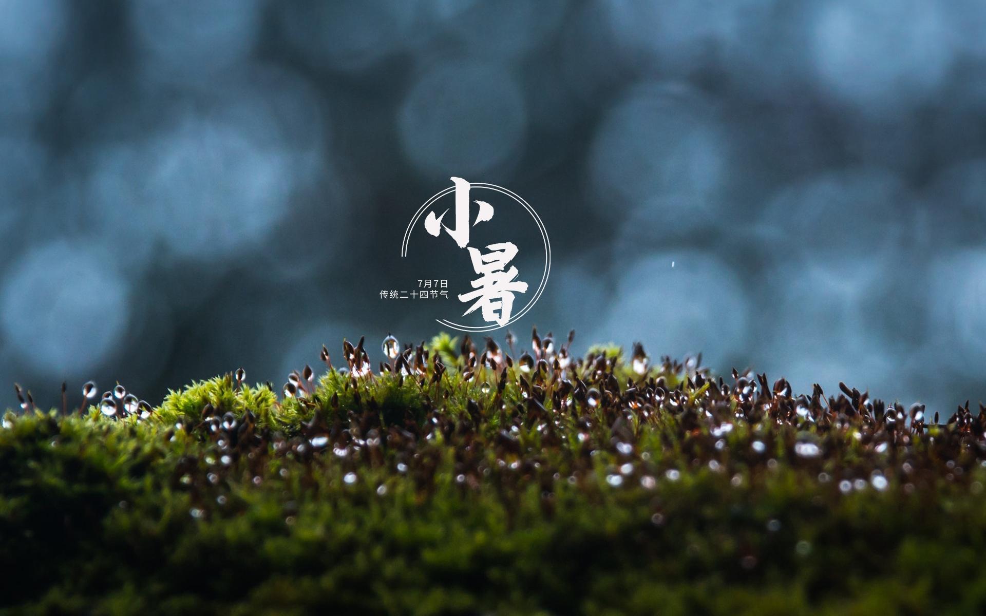 小暑节气唯美高清桌面壁纸图片