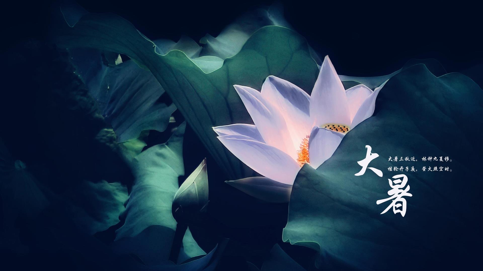 二十四节气大暑电脑桌面壁纸图片