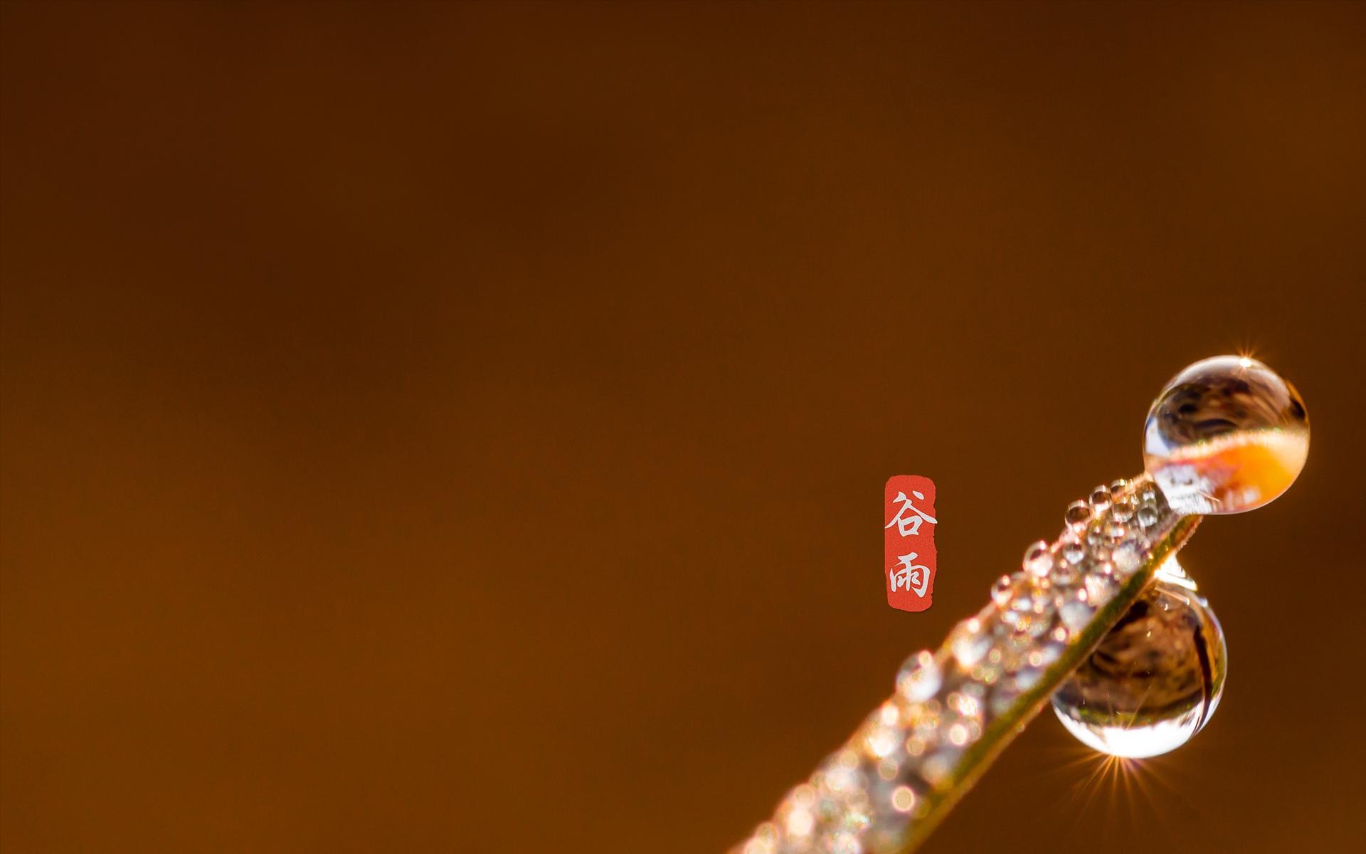 二十四节气之谷雨高清桌面壁纸图片